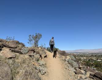 easy hikes in Palm Springs