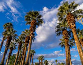 Blue skies, clouds and palm trees in Greater Palm Springs.