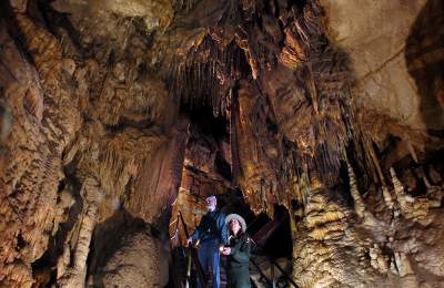 Mammoth Cave Tour Guides