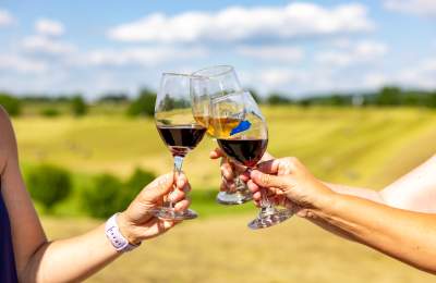 Three glasses of wine being raised