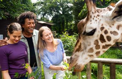 Family feeding giraffe at Dudley Zoo