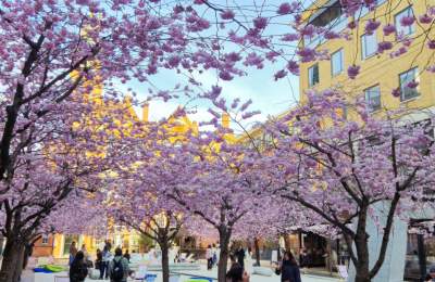 Spring in Birmingham