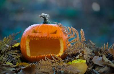 Wild Halloween Nature Potion Hunt