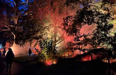 Birmingham Light Festival - "Tipping Point" at Birmingham Botanical Gardens