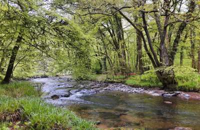Bampton