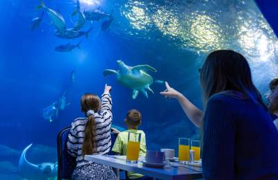 Family at national marine aquarium