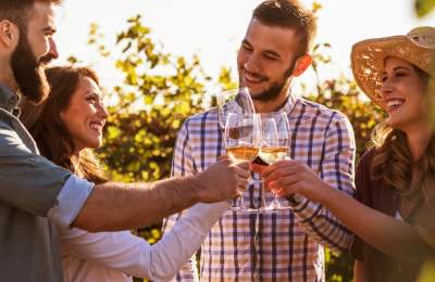 Food Tours, Vineyards & Breweries in Sidmouth