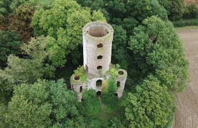 aerial view of the racton monument surrounded by trees