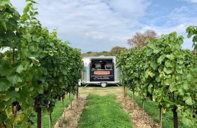 Ashling Park airstream and vines