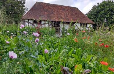 Weald & Downland garden