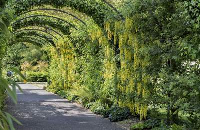 West Dean Gardens
