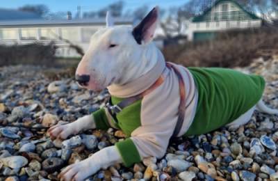 Barry, by Jenna Baker @ Seal Bay, Selsey