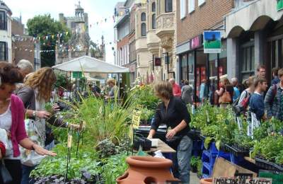 Chichester Farmer's Market