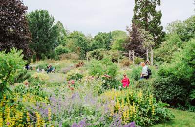 Bishop's Palace Gardens, Chichester