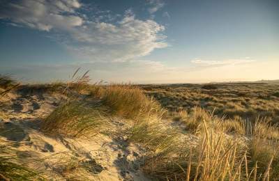 Dunes at East Head, West Wittering