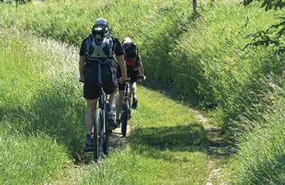 E-MTB Top 10 Tips