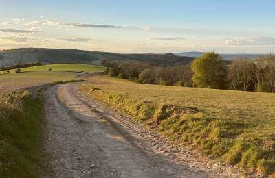 Footpath at Bignor Hill