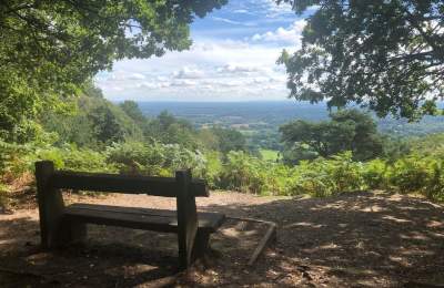 Views from Black Down
