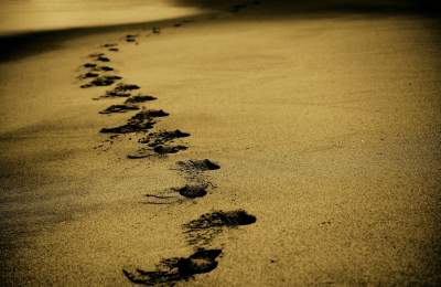 Footprints in sand