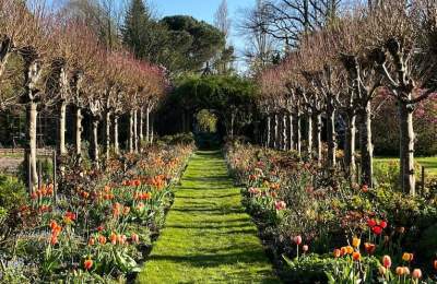 Rymans Garden near Chichester