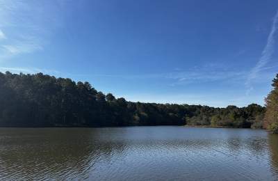 Little Mulberry Miller Lake