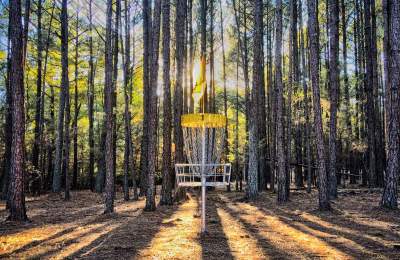 disc golf