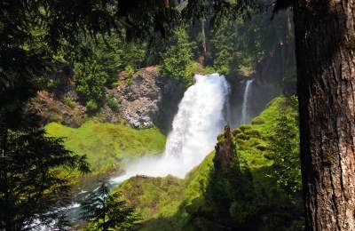 Sahalie Waterfall, McKenzie River by Sally McAleer