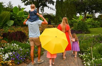 2026 Visitor Guide Image