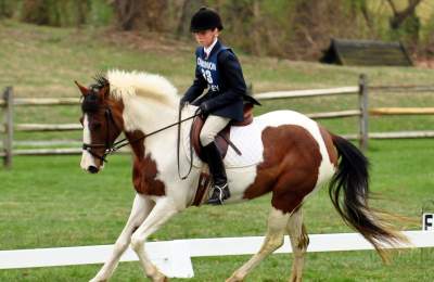 Dressage Horseback Riding