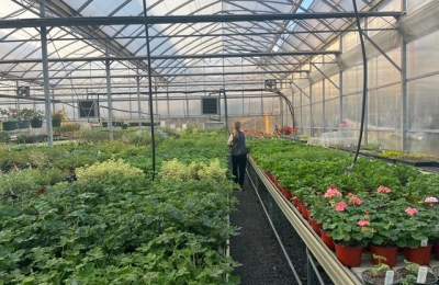 Abernethy Greenhouse