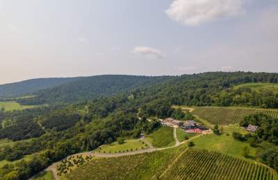 Aerial of Bluemont Vineyard's tasting room and vine rows set against the forested Blue Ridge hills in Bluemont, Virginia