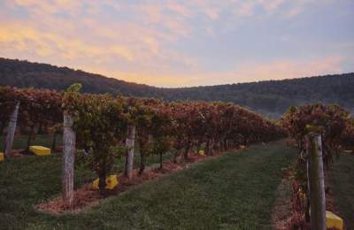Take a Revolutionary Road Trip Through Loudoun