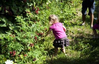 Fun Summer Activities for the Kids in Loudoun