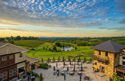 10 Things to Love About Loudoun Wine