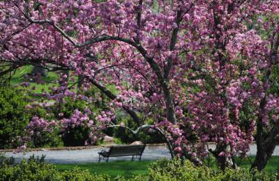 Best Spring Events in Loudoun