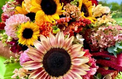 Legacy Farms - flowers