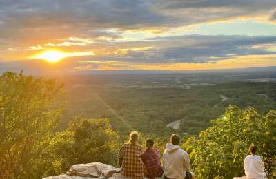 Bears den