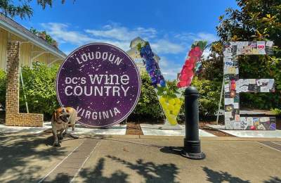 A Celebration of Loudoun Music & Art
