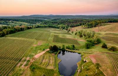 Loudoun's Award-Winning Wineries
