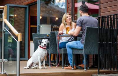 Dog with owners on restaurant terrace at holiday park in the New Forest