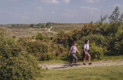 Two people walking uphill in the New Forest