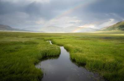 A Brief Moment in Time,  Jim Stein