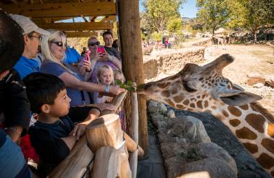 Kim Reiner Offers Zoo Tips