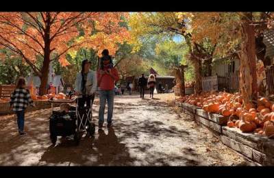 Vala's Pumpkin Patch & Apple Orchard: 2021 Omaha Metropolitan Area Tourism Award Winner