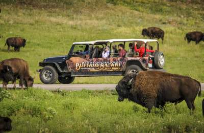 Jeep Safari Ride in Custer State Park