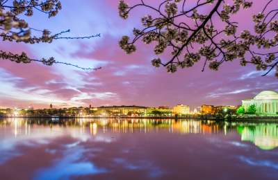 “It made a world of difference.” How Destination DC boosted staff knowledge with Simpleview Brainery