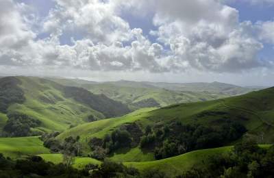 green hills in slo cal