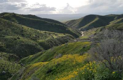 Carrizo Plain National Monument