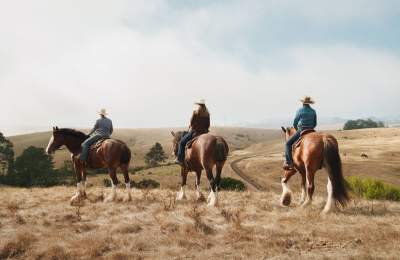 Three people horseback riding on clydesdales in Cambria, CA