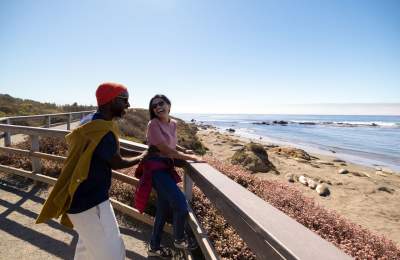 Two people on the coast looking at Elephant Seals from a vista point